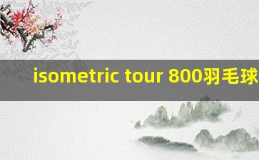 isometric tour 800羽毛球拍